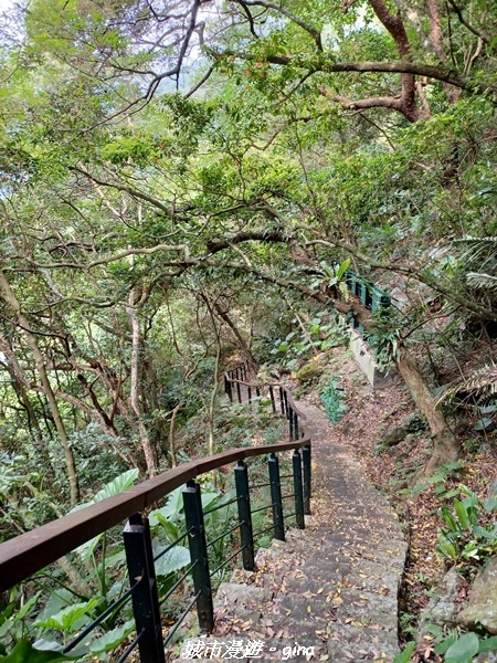 【花蓮秀林】跨距在蜿蜒曲折的立霧溪上。 布洛灣吊橋 (山月吊