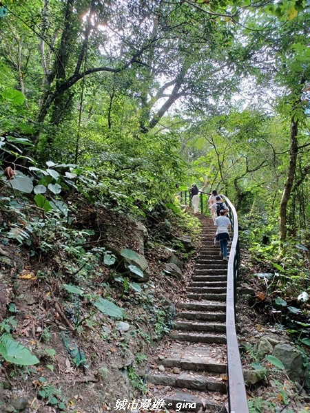 【花蓮秀林】跨距在蜿蜒曲折的立霧溪上。 布洛灣吊橋 (山月吊