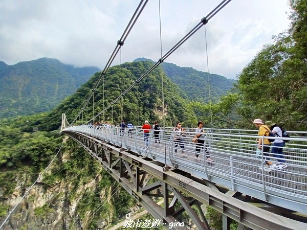 【花蓮秀林】跨距在蜿蜒曲折的立霧溪上。 布洛灣吊橋 (山月吊