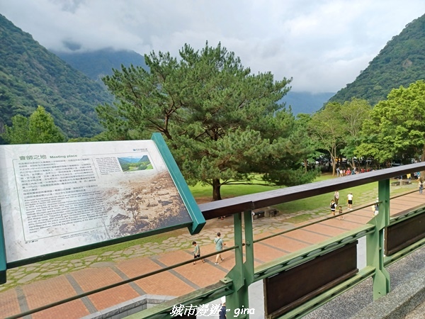 【花蓮秀林】跨距在蜿蜒曲折的立霧溪上。 布洛灣吊橋 (山月吊