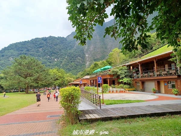 【花蓮秀林】跨距在蜿蜒曲折的立霧溪上。 布洛灣吊橋 (山月吊