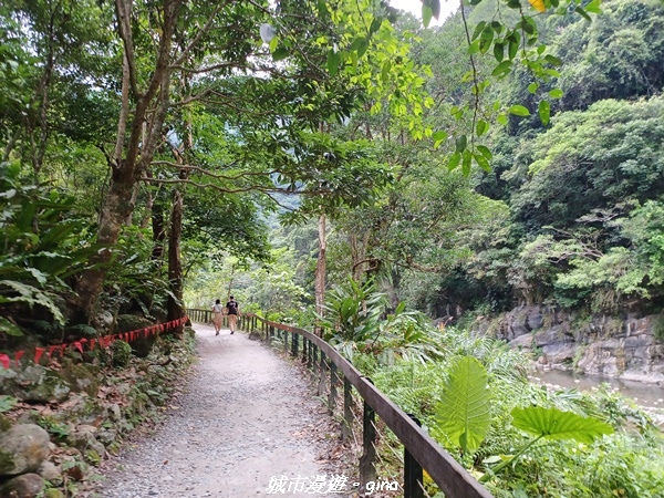 【花蓮秀林】美景天成。 砂卡礑步道