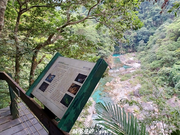 20230622_173656.jpg 20230622_173656.jpg