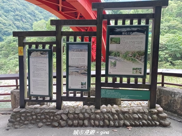 20230622_174318.jpg 20230622_174318.jpg