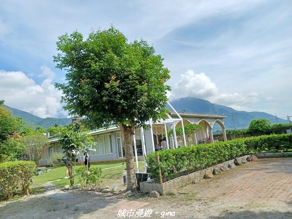 【花蓮吉安】日式老宅的家常味~西村的家。 鄉村風情~東之旅民