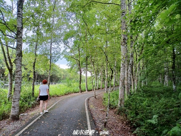 【花蓮光復】臺灣首座平地森林園區-大農大富平地森林步道x好食