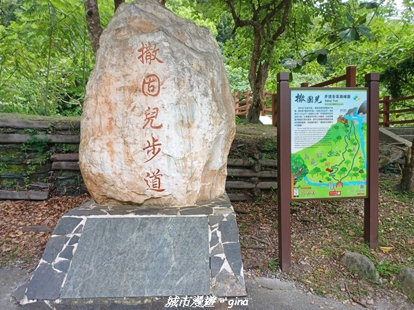 【花蓮】 楓林步道好視野x撒固兒步道、撒固兒瀑布超沁涼x慶豐