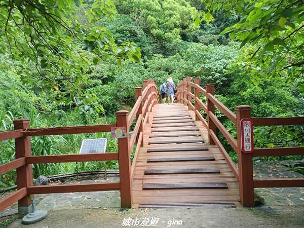 【花蓮】 楓林步道好視野x撒固兒步道、撒固兒瀑布超沁涼x慶豐