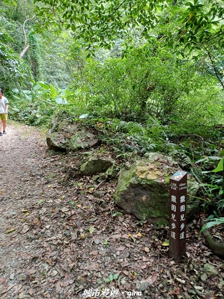 【花蓮】 楓林步道好視野x撒固兒步道、撒固兒瀑布超沁涼x慶豐