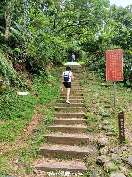 【花蓮】 楓林步道好視野x撒固兒步道、撒固兒瀑布超沁涼x慶豐