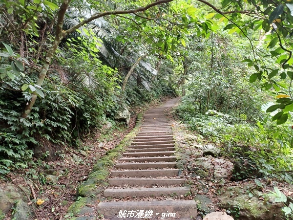 【花蓮】 楓林步道好視野x撒固兒步道、撒固兒瀑布超沁涼x慶豐