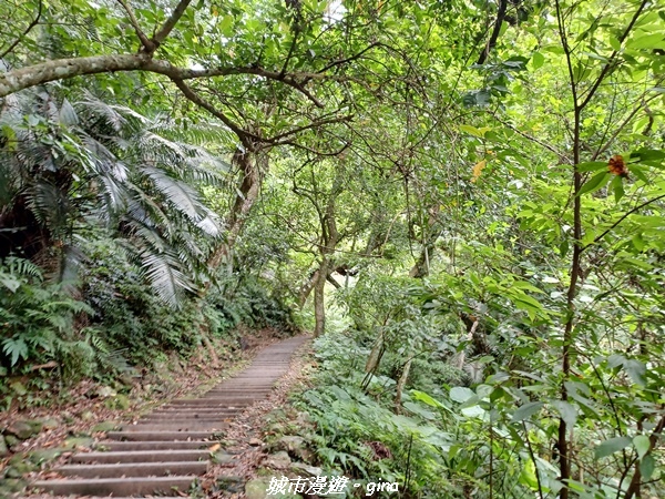 【花蓮】 楓林步道好視野x撒固兒步道、撒固兒瀑布超沁涼x慶豐