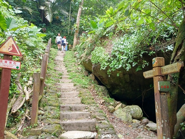 【花蓮】 楓林步道好視野x撒固兒步道、撒固兒瀑布超沁涼x慶豐