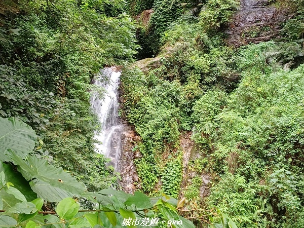 【花蓮】 楓林步道好視野x撒固兒步道、撒固兒瀑布超沁涼x慶豐