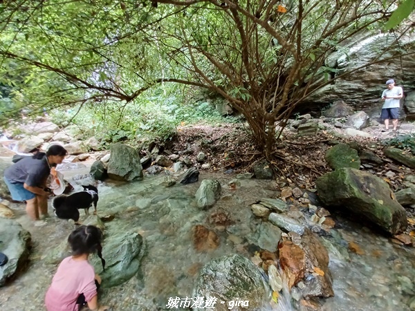 【花蓮】 楓林步道好視野x撒固兒步道、撒固兒瀑布超沁涼x慶豐