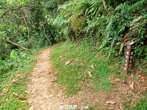 【花蓮】 楓林步道好視野x撒固兒步道、撒固兒瀑布超沁涼x慶豐