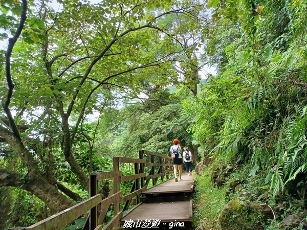 【花蓮】 楓林步道好視野x撒固兒步道、撒固兒瀑布超沁涼x慶豐