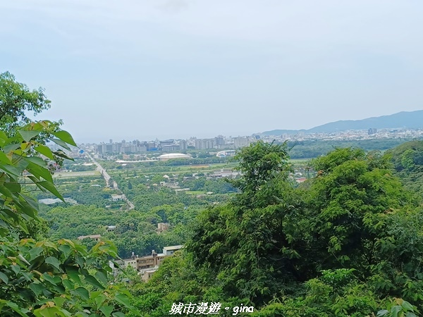 【花蓮】 楓林步道好視野x撒固兒步道、撒固兒瀑布超沁涼x慶豐