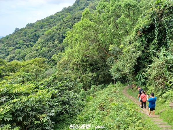 【花蓮】 楓林步道好視野x撒固兒步道、撒固兒瀑布超沁涼x慶豐