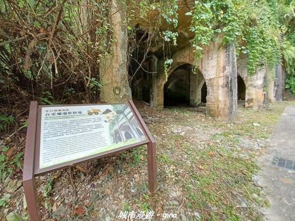 【花蓮】 楓林步道好視野x撒固兒步道、撒固兒瀑布超沁涼x慶豐