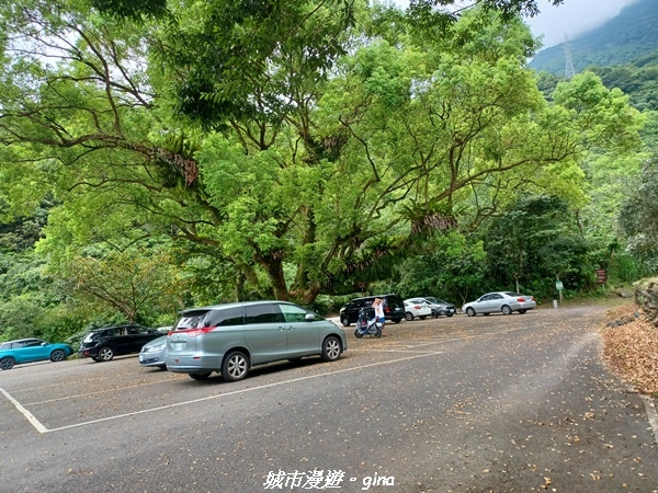 【花蓮】 楓林步道好視野x撒固兒步道、撒固兒瀑布超沁涼x慶豐