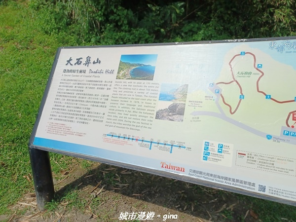 【花蓮豐濱】藍天碧海。大石鼻山步道