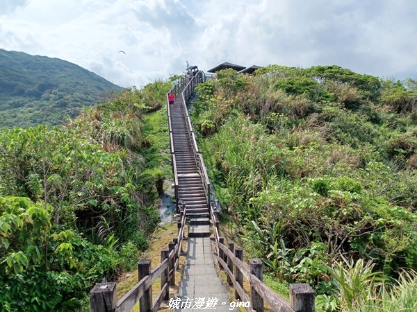 【花蓮豐濱】藍天碧海。大石鼻山步道