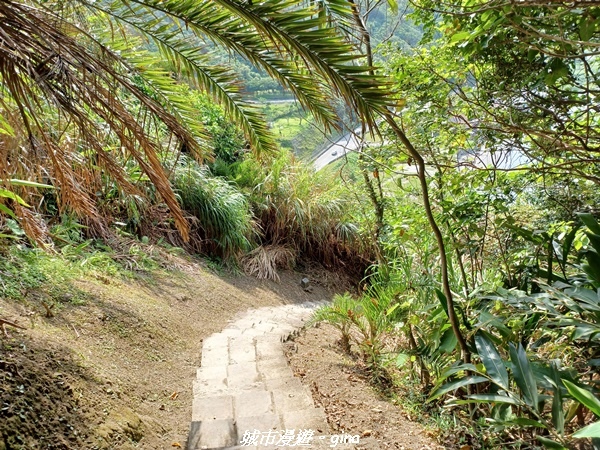 【花蓮豐濱】藍天碧海。大石鼻山步道