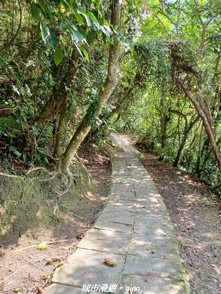 【花蓮豐濱】藍天碧海。大石鼻山步道