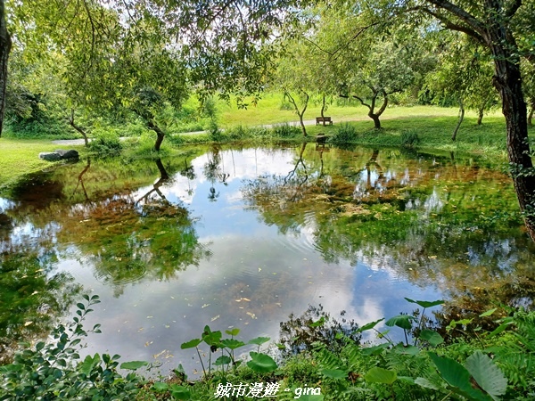 【花蓮光復】日媒喻為國際級的淡水湧泉水草觀景池~拉索埃湧泉生