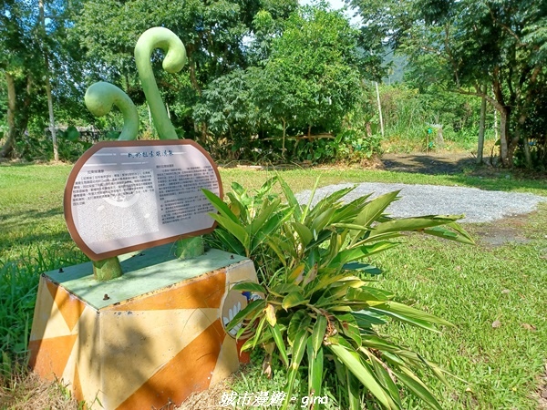 【花蓮光復】日媒喻為國際級的淡水湧泉水草觀景池~拉索埃湧泉生