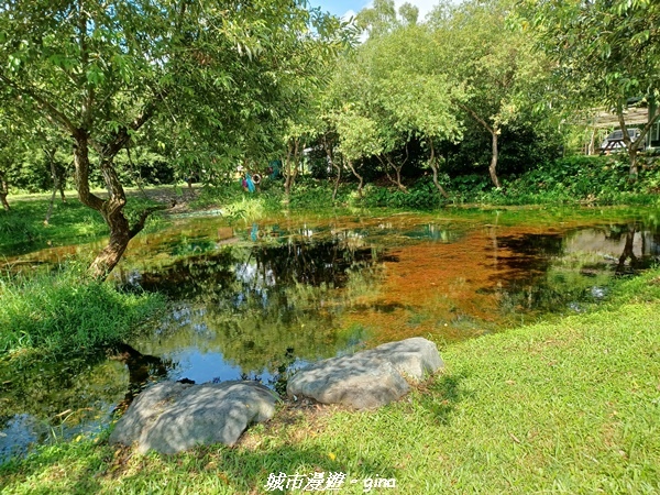 【花蓮光復】日媒喻為國際級的淡水湧泉水草觀景池~拉索埃湧泉生