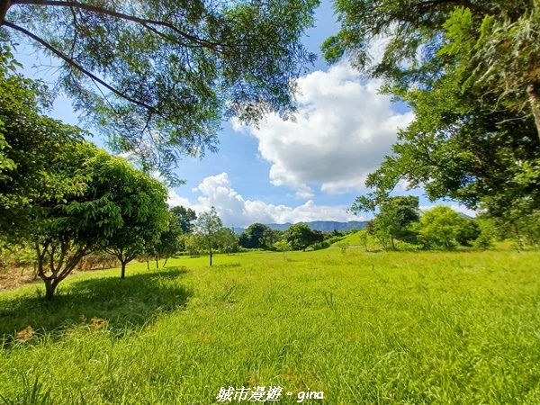 【花蓮光復】日媒喻為國際級的淡水湧泉水草觀景池~拉索埃湧泉生