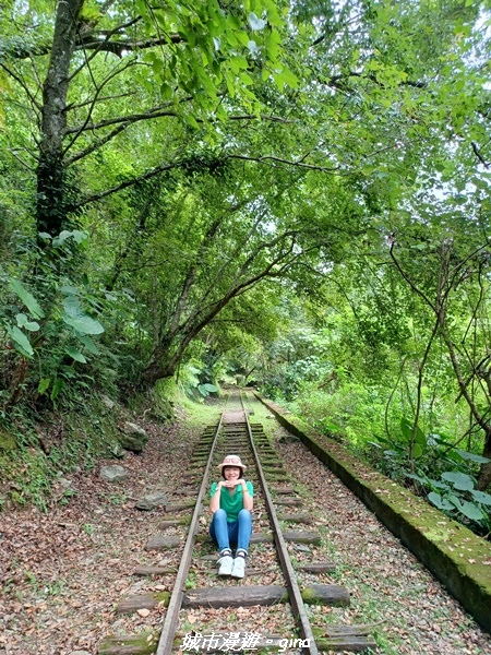 20230624_120732.jpg 20230624_120732.jpg