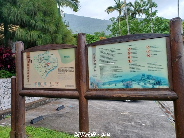 【花蓮壽豐】秀麗山景。 池南國家森林遊樂區森林浴步道