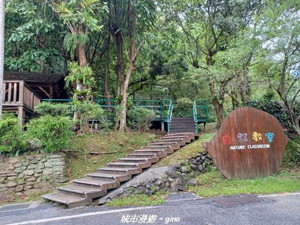 【花蓮壽豐】秀麗山景。 池南國家森林遊樂區森林浴步道