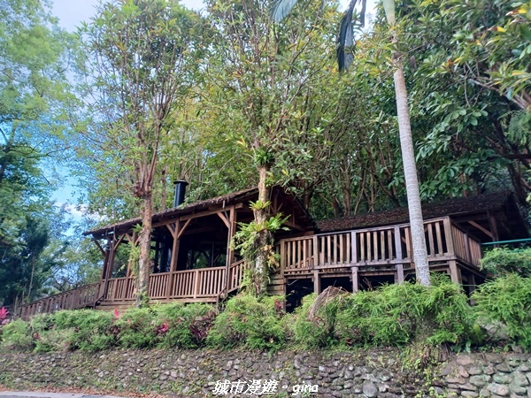 【花蓮壽豐】秀麗山景。 池南國家森林遊樂區森林浴步道