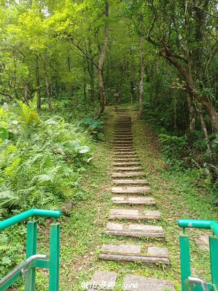 【花蓮壽豐】秀麗山景。 池南國家森林遊樂區森林浴步道