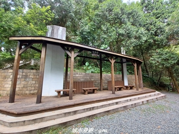 【花蓮壽豐】秀麗山景。 池南國家森林遊樂區森林浴步道