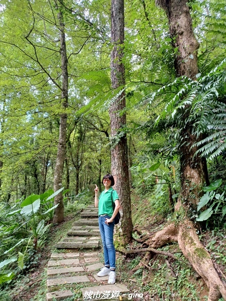 【花蓮壽豐】秀麗山景。 池南國家森林遊樂區森林浴步道