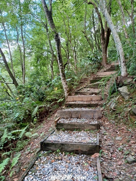 【花蓮壽豐】秀麗山景。 池南國家森林遊樂區森林浴步道