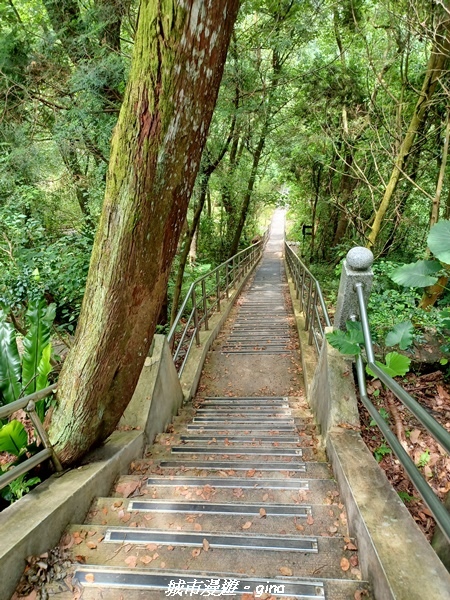 【花蓮壽豐】秀麗山景。 池南國家森林遊樂區森林浴步道