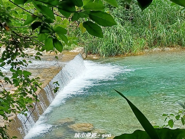 【花蓮壽豐】秀麗山景。 池南國家森林遊樂區森林浴步道