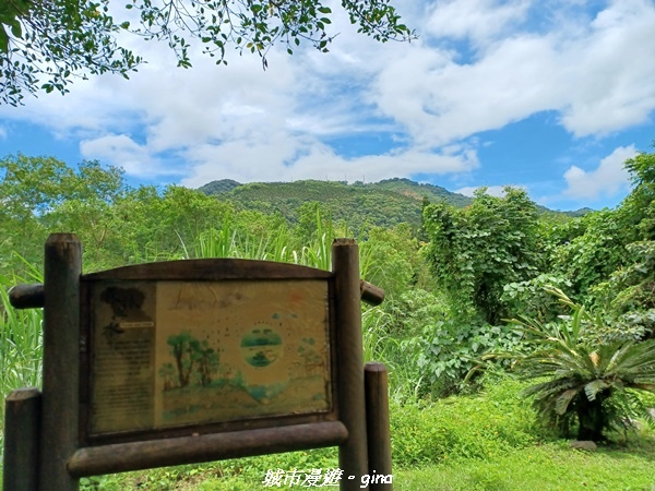 20230624_125646.jpg 20230624_125646.jpg