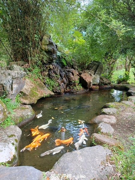 【花蓮壽豐】秀麗山景。 池南國家森林遊樂區森林浴步道