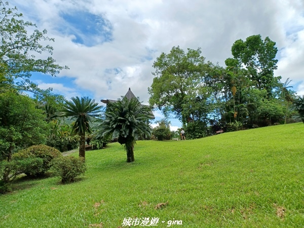 【花蓮壽豐】秀麗山景。 池南國家森林遊樂區森林浴步道