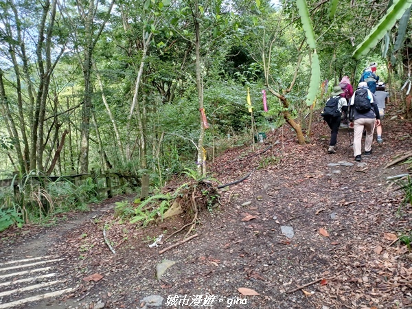 【南投信義】望鄉部落抬頭見玉山。 獵人古道連走、望美山、瓊山