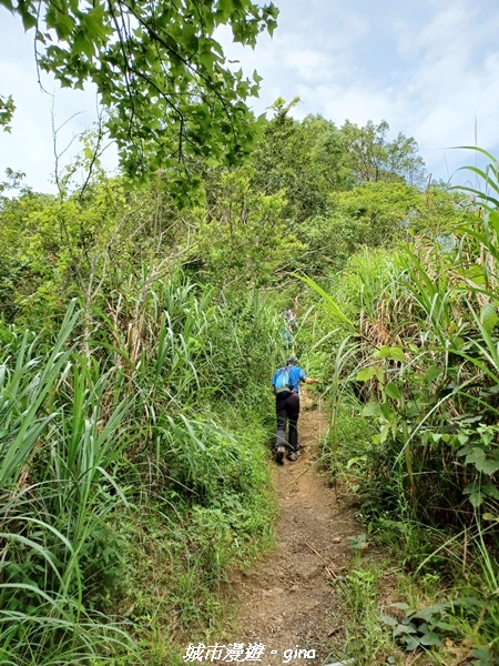 【南投信義】望鄉部落抬頭見玉山。 獵人古道連走、望美山、瓊山