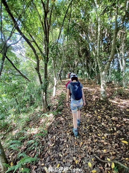 【南投信義】望鄉部落抬頭見玉山。 獵人古道連走、望美山、瓊山