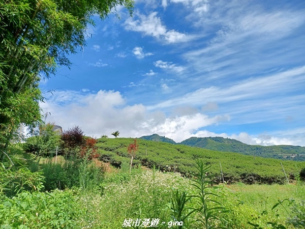 【南投信義】望鄉部落抬頭見玉山。 獵人古道連走、望美山、瓊山